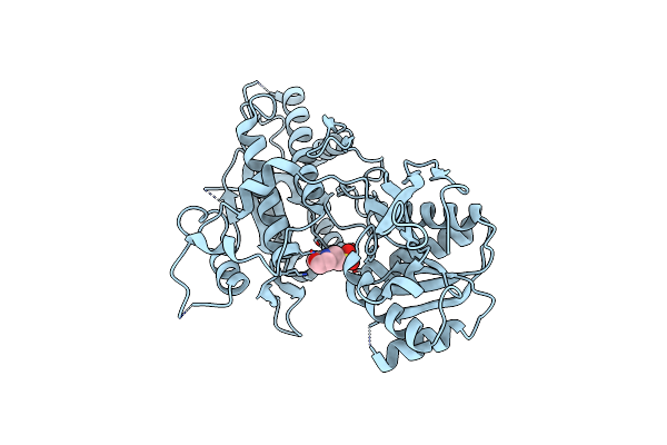 2E4Z image