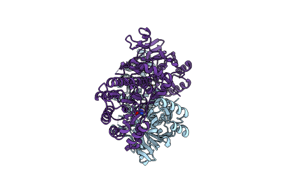 2E5D image