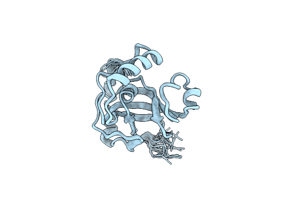 2E5O image