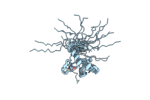 2E5S image
