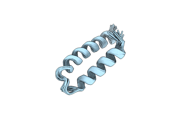 2E5T image