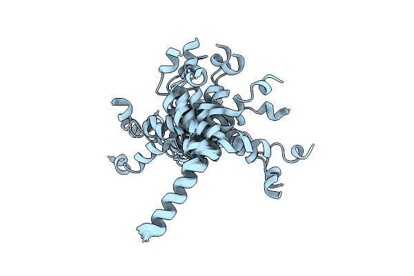 2E5U image