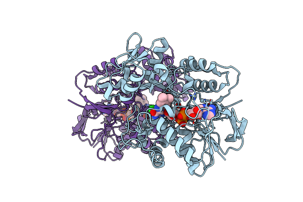2E5V image