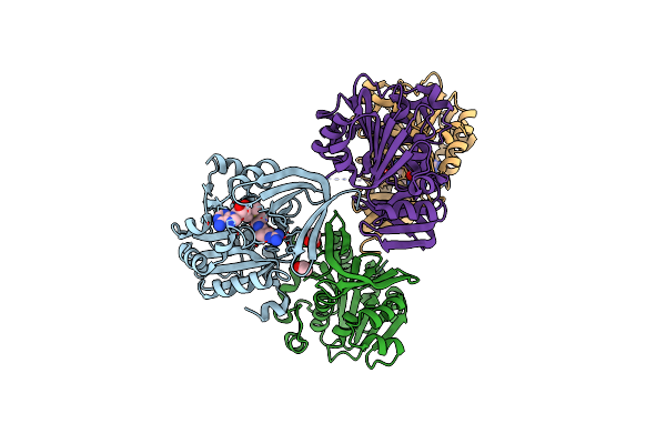 2E5W image