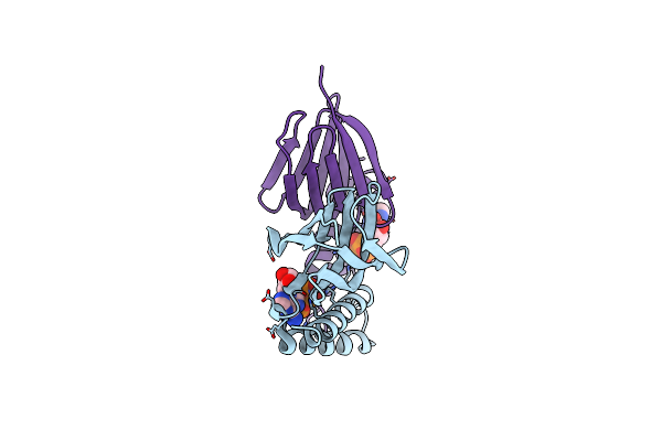 2E5Y image
