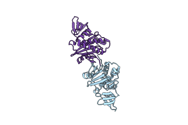2E64 image