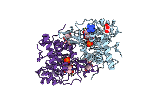 2E6F image