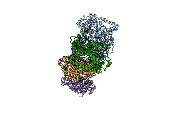 2E6K image