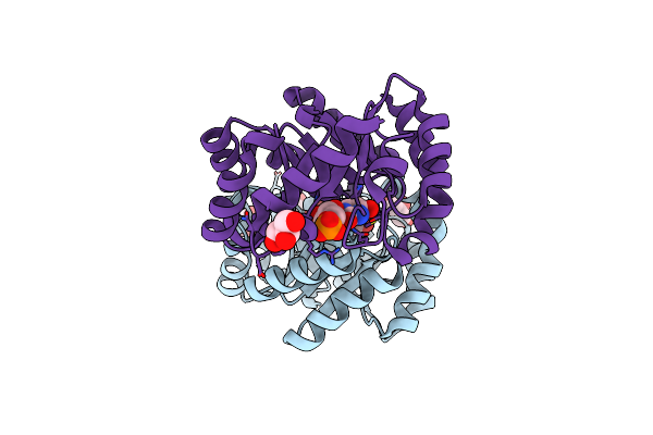 2E6Y image