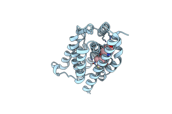 2E7E image