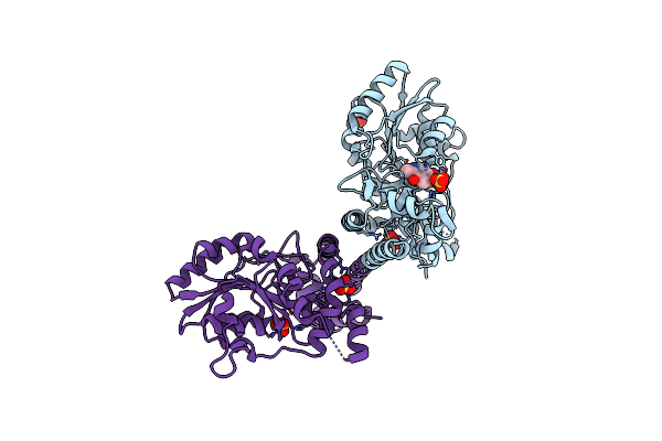 2E7I image
