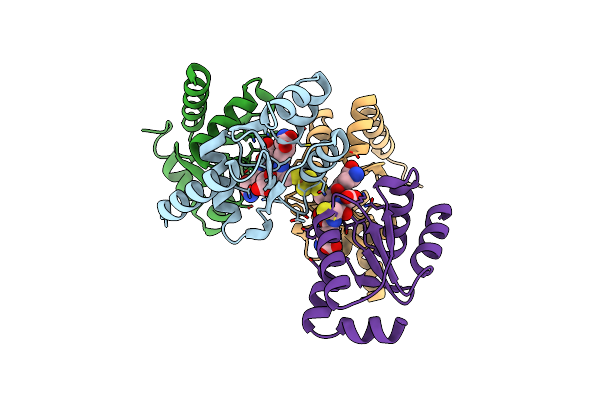 2E7P image