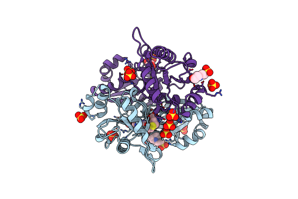 2E7R image