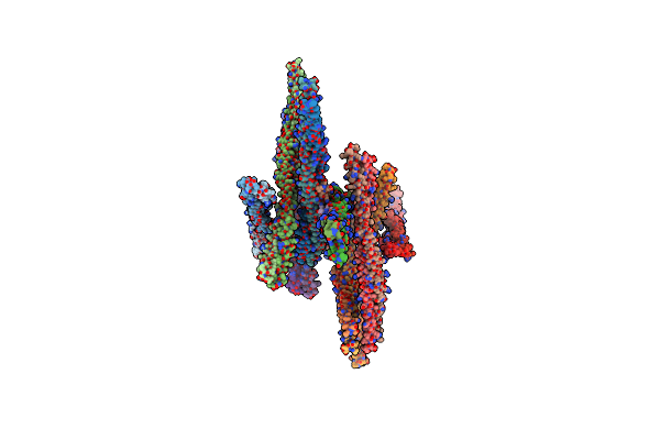 2E7S image