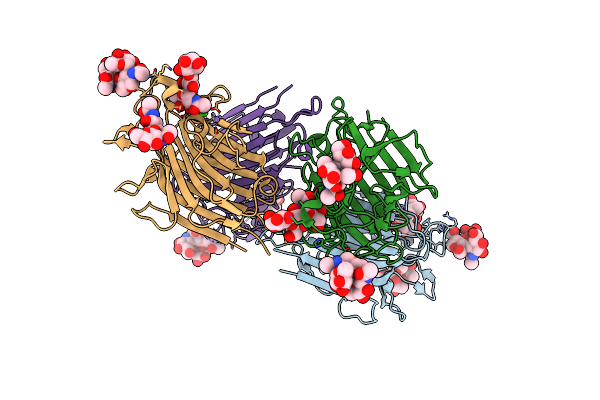 2E7T image