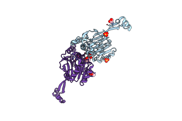 2E7Y image