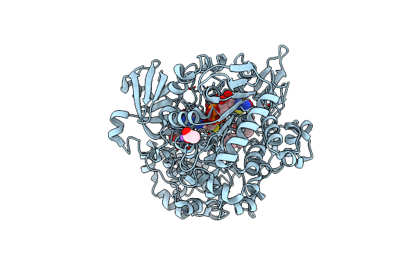 2E7Z image