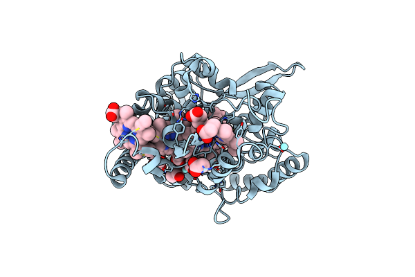 2E80 image