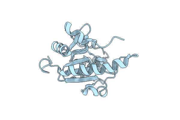 2E8B image