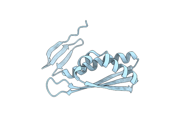 2E8C image
