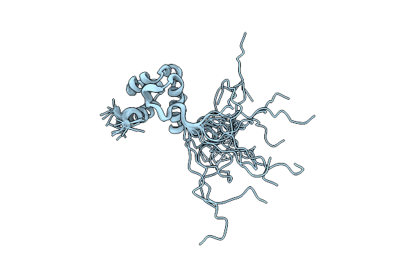 2E8P image