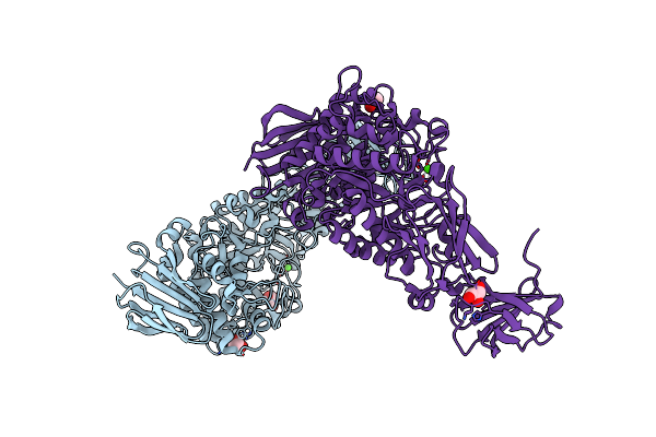 2E8Y image