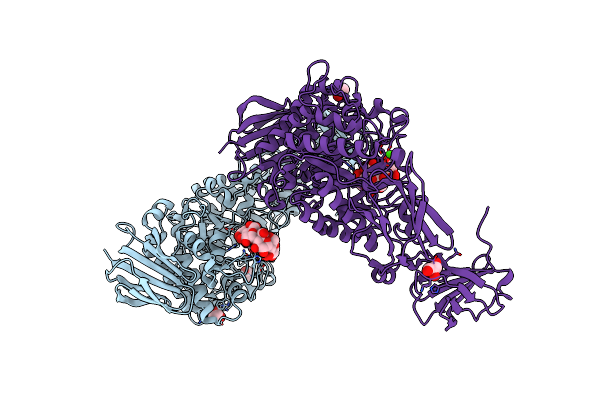 2E8Z image