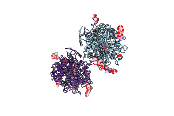 2E9E image