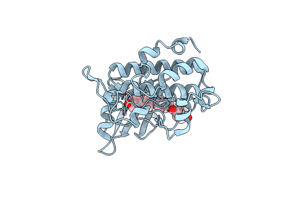 2E9N image