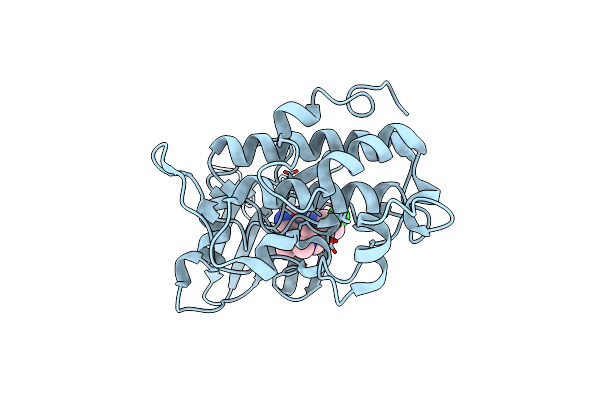 2E9P image