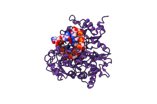 2E9R image