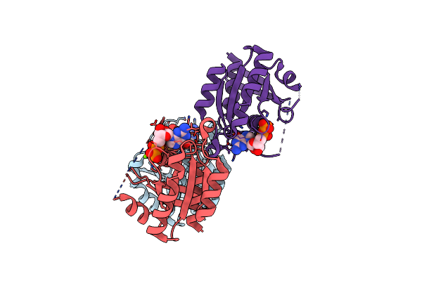 2E9S image