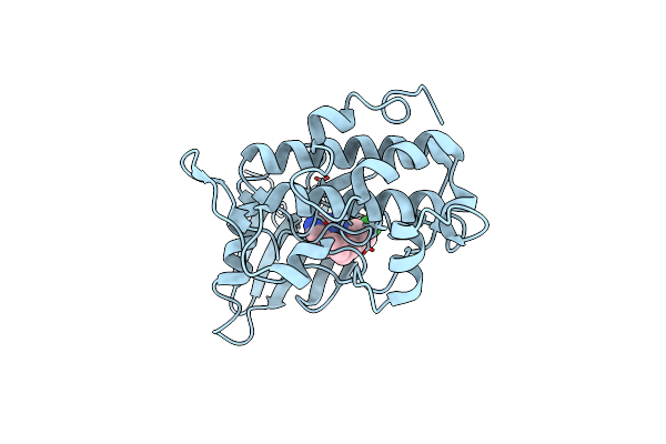 2E9U image