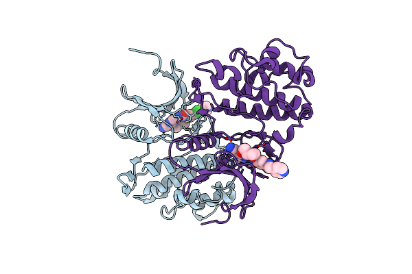 2E9V image