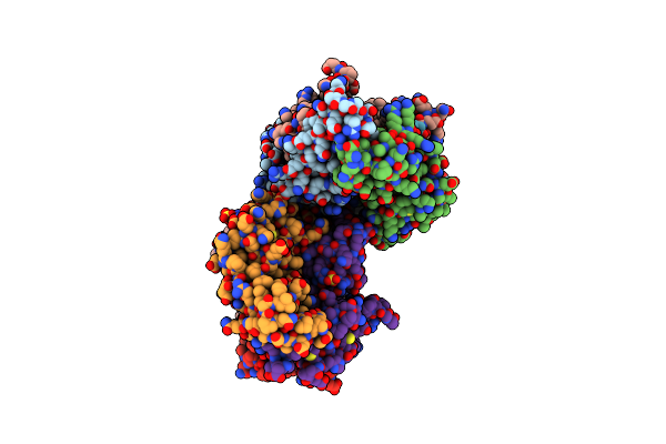 2E9X image