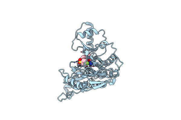 2EA4 image