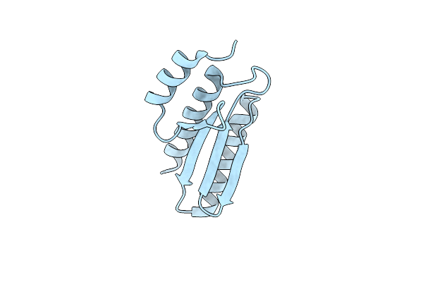 2EBB image