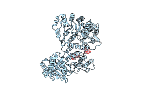 2EBH image