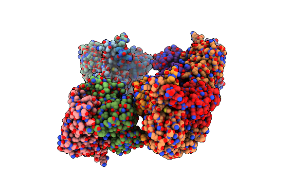 2ED6 image