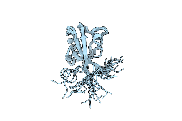2EEG image