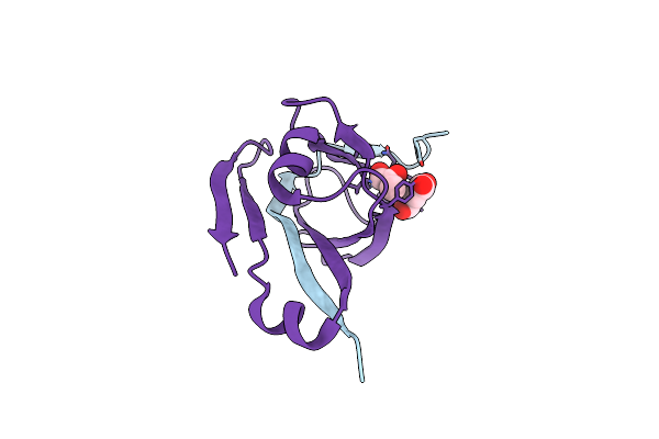 2EEO image