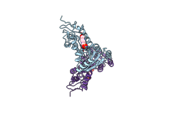 2EF1 image
