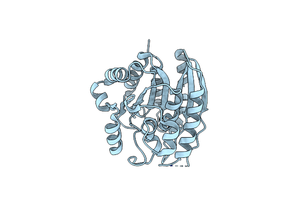 2EF4 image