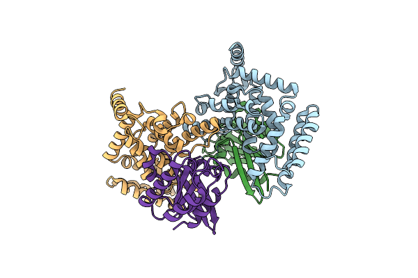 2EFD image