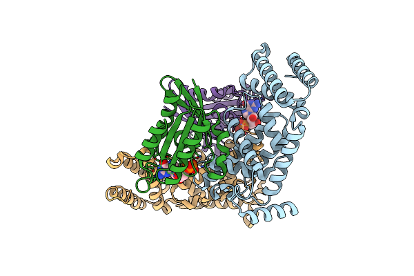 2EFH image