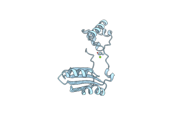 2EFN image