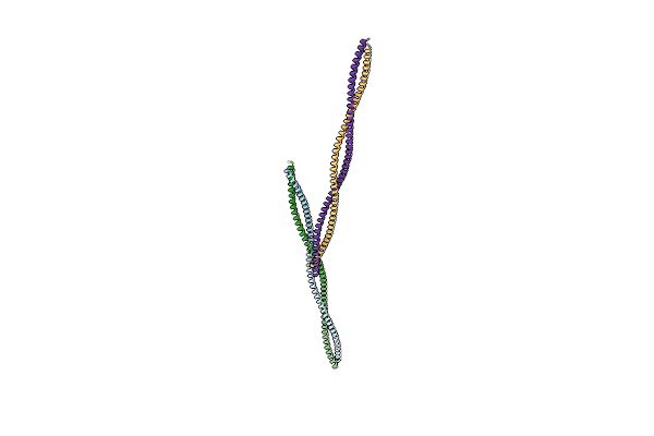 2EFR image