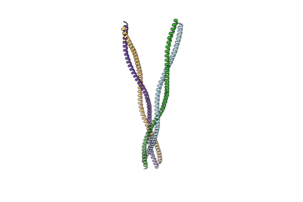 2EFS image