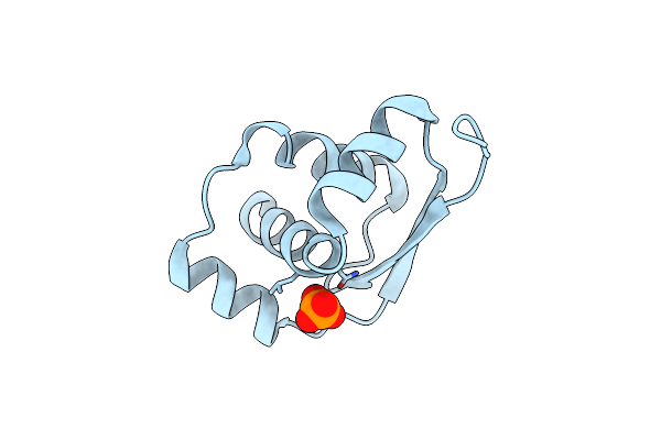 2EFV image