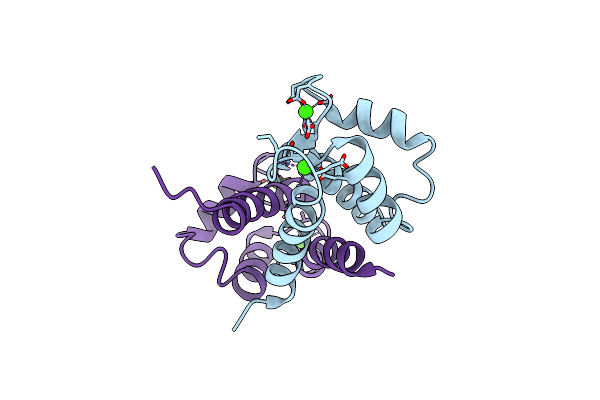 2EGD image